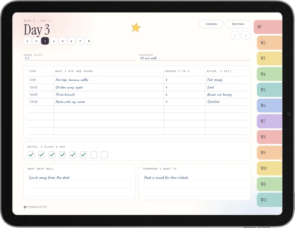 The Food Diary, colour edition on an iPad: A day