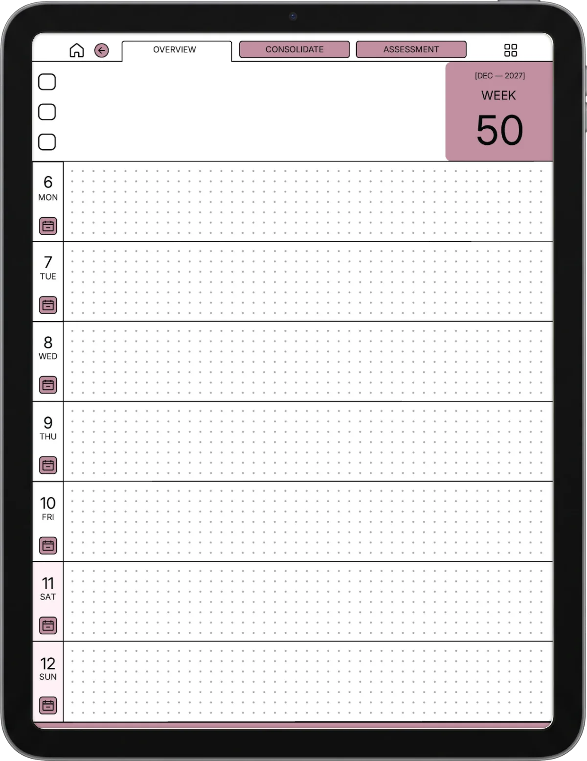  iPad