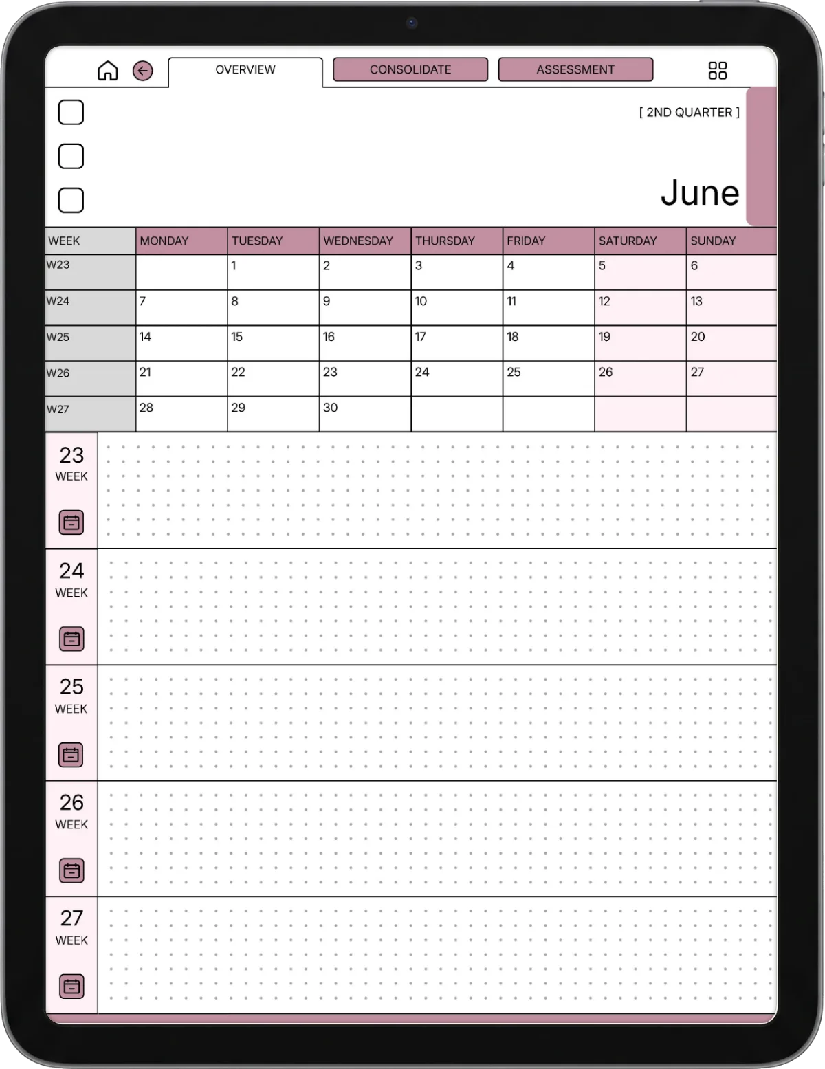 Daily Planner iPad page 3