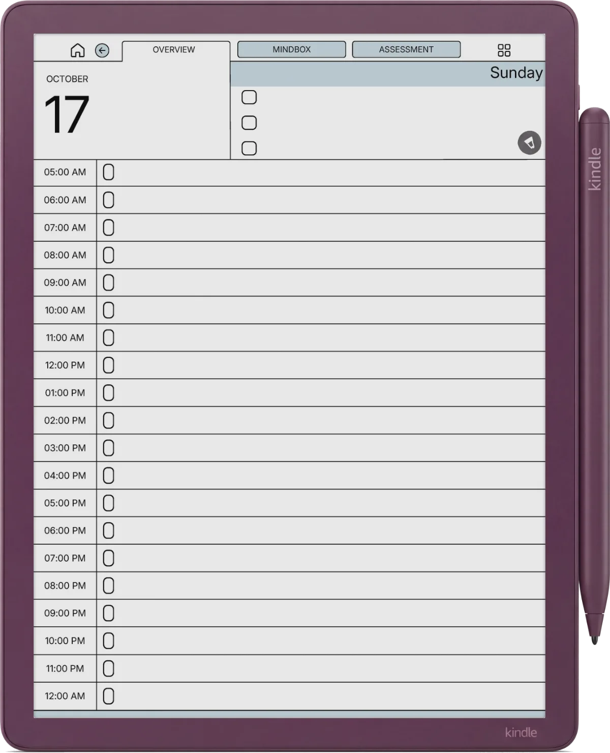Daily Planner Kindle Scribe Colorsoft page 4