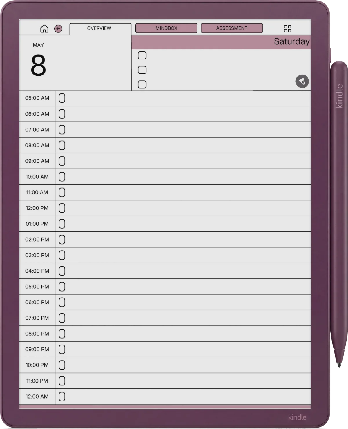Daily Planner Kindle Scribe Colorsoft page 4