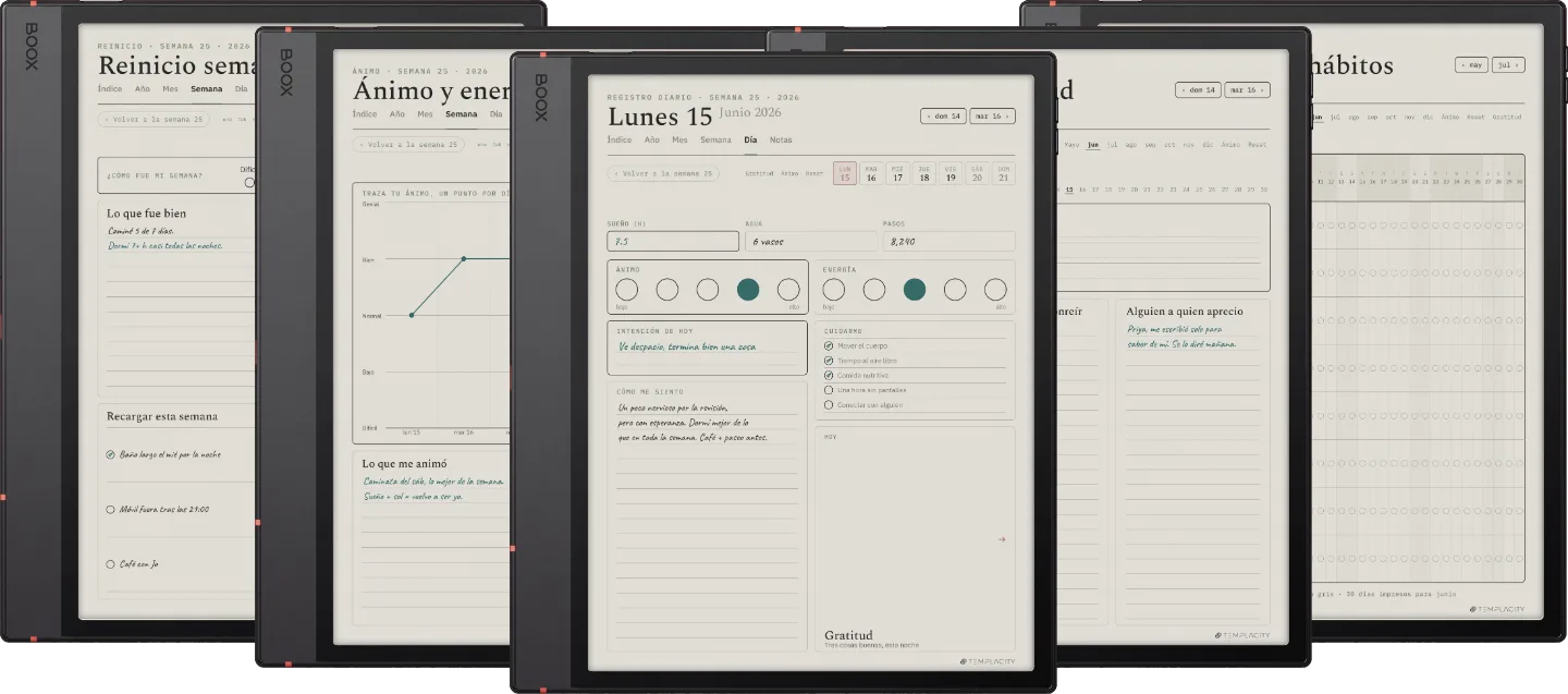 The Planner · Bienestar