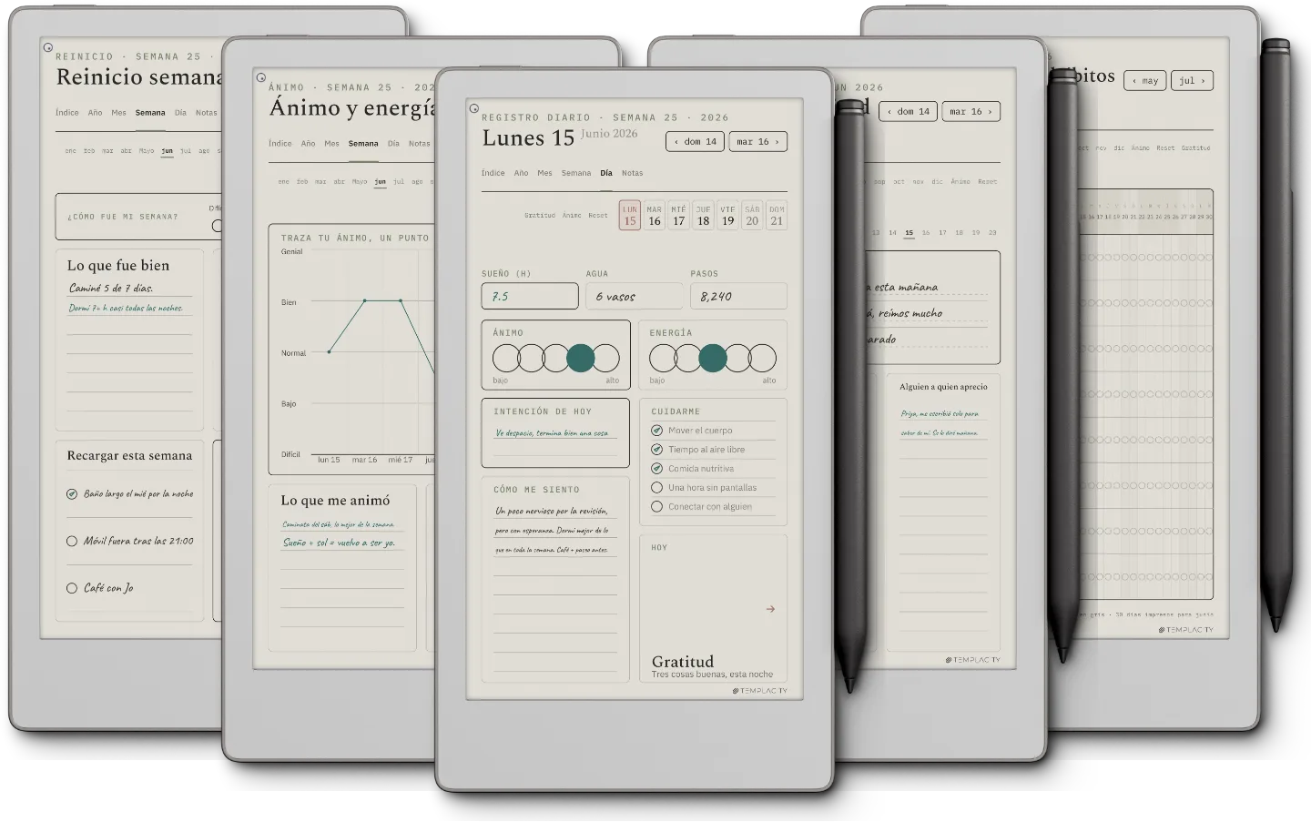 The Planner · Bienestar
