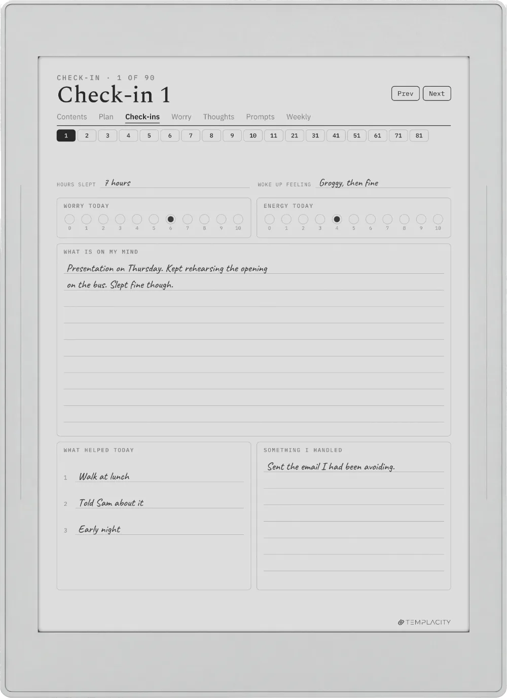 The Planner El registro diario