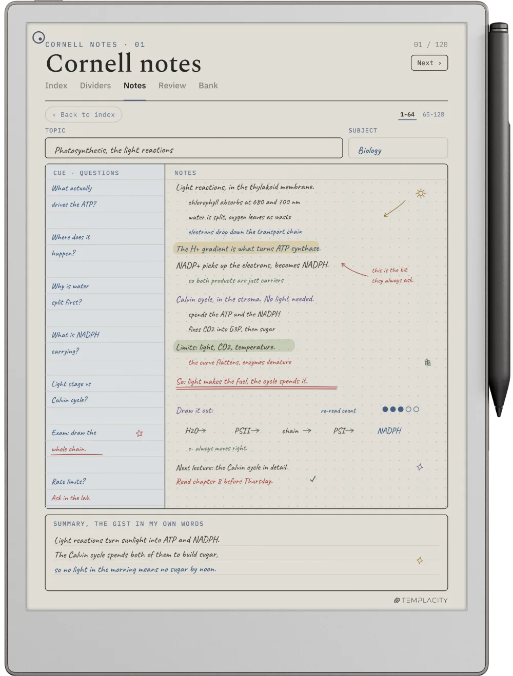 Cornell Notes Template