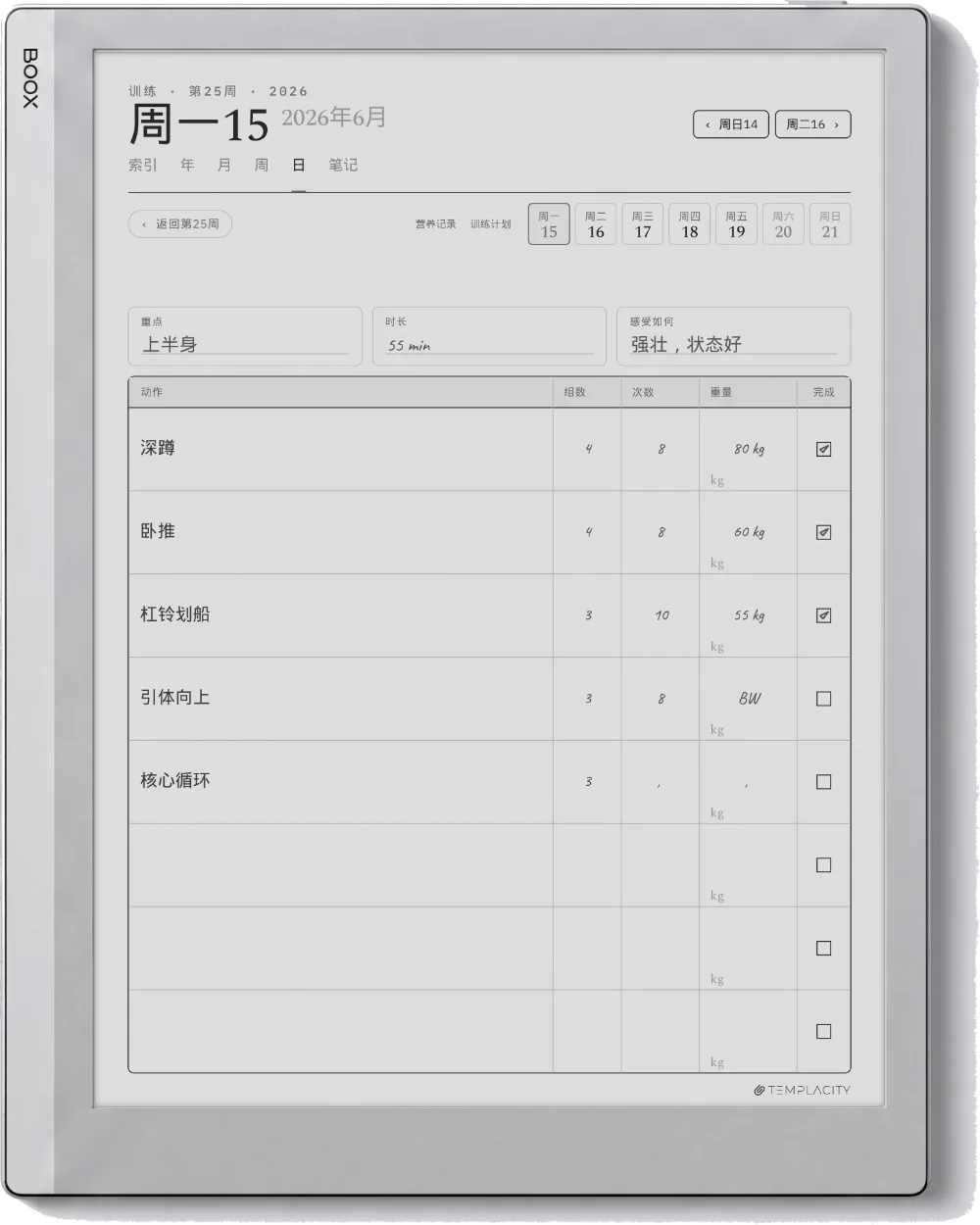 Boox Go 10.3 上的规划本