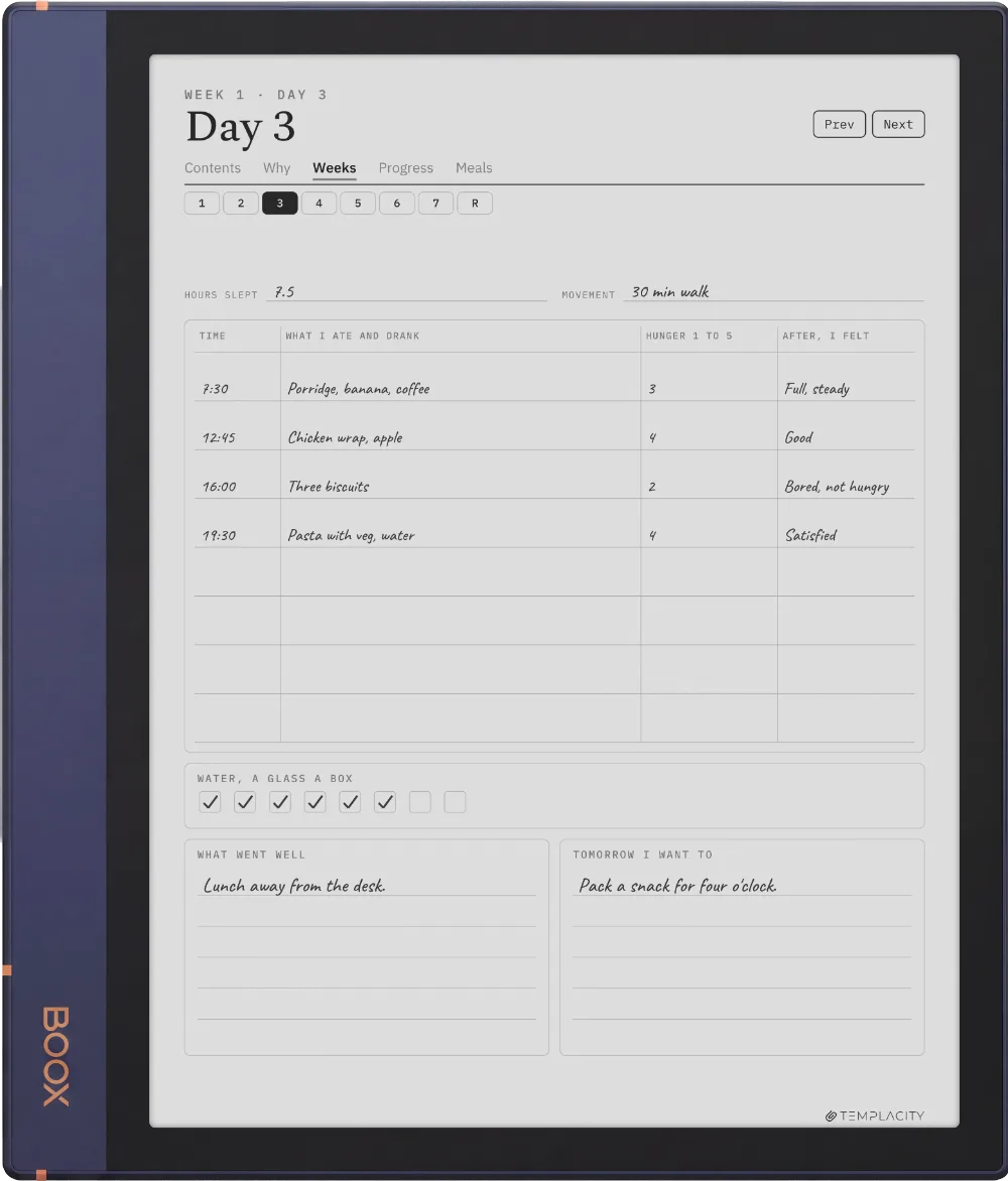 The Planner The Day