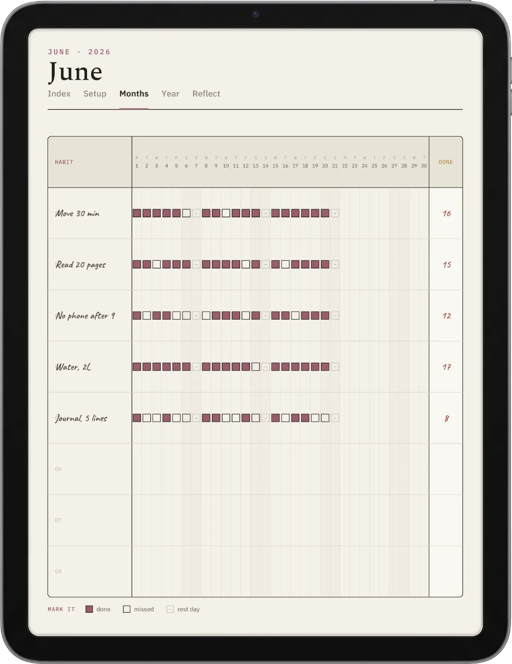 The Planner on the iPad