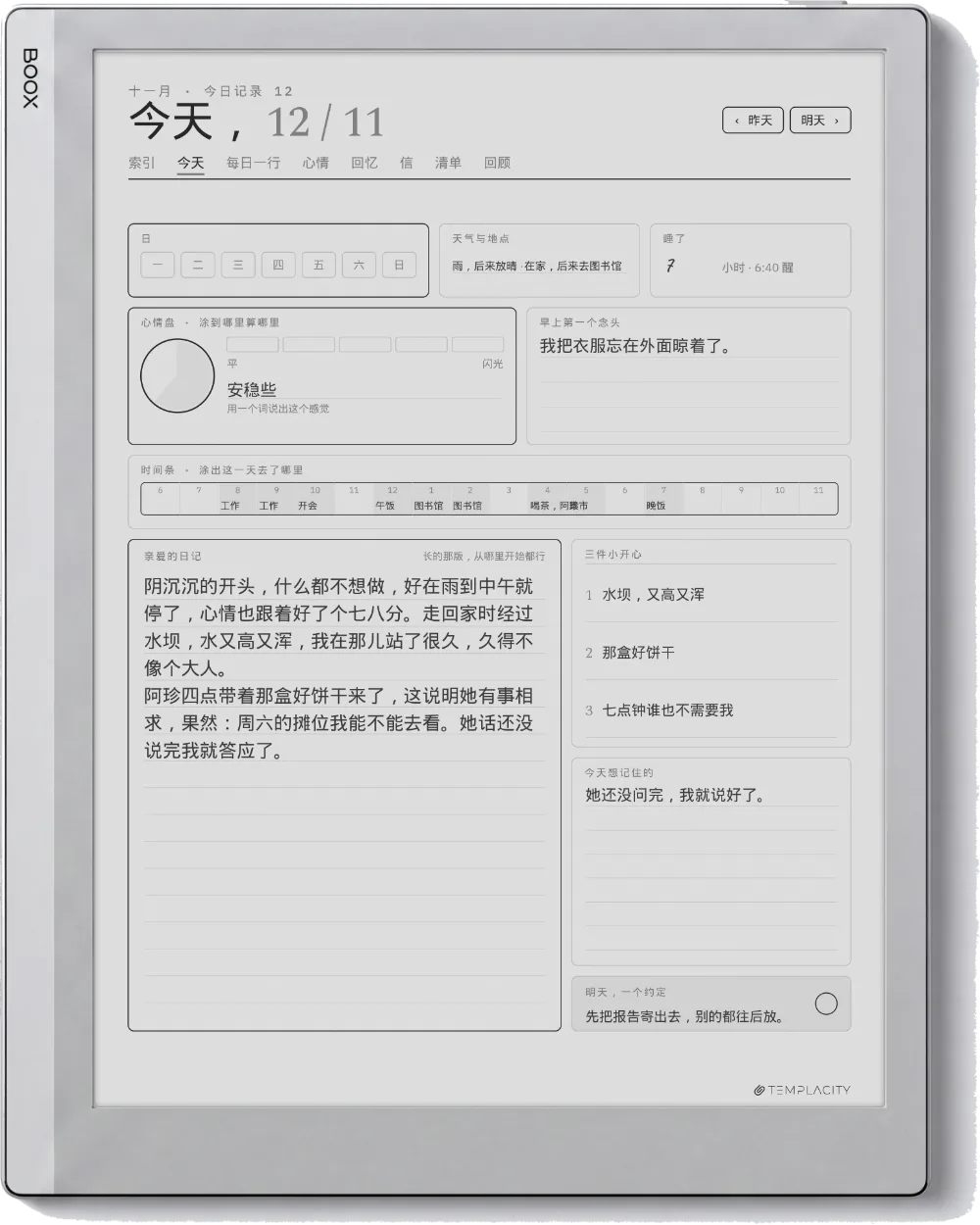 Boox Go 10.3 上的规划本