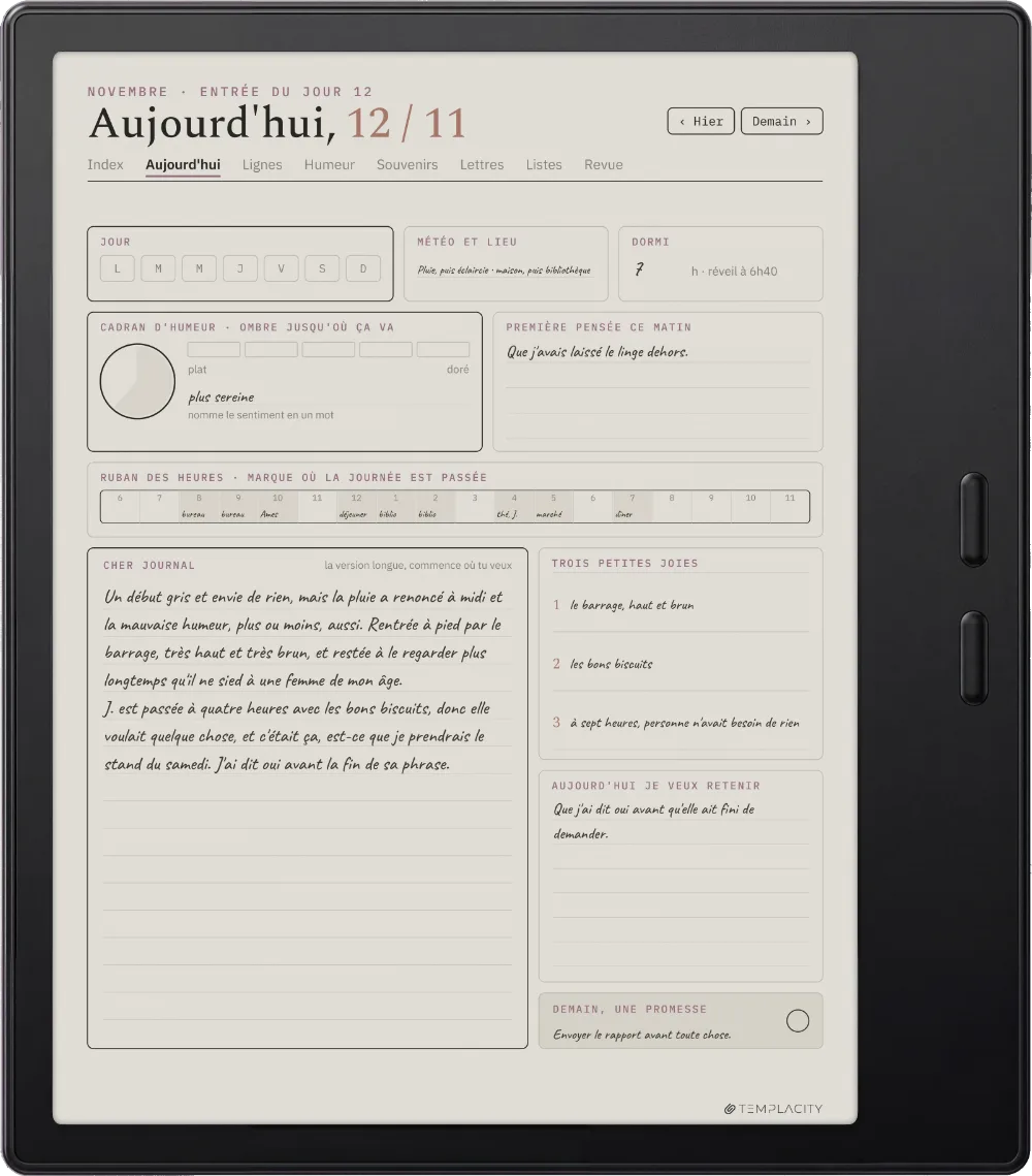 Le Planner sur la Boox Go Color 7 (Gen II)