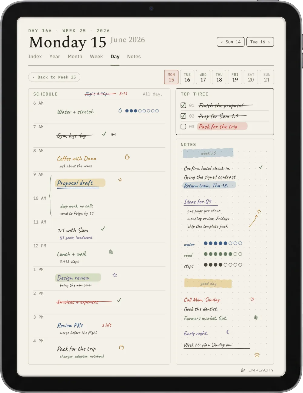 The Planner on the iPad