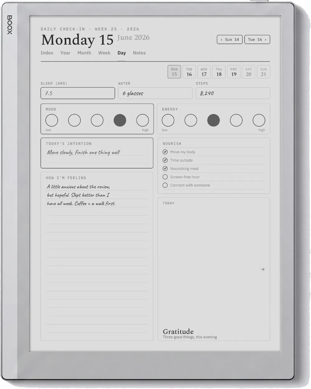 The Planner on the Boox Go 10.3