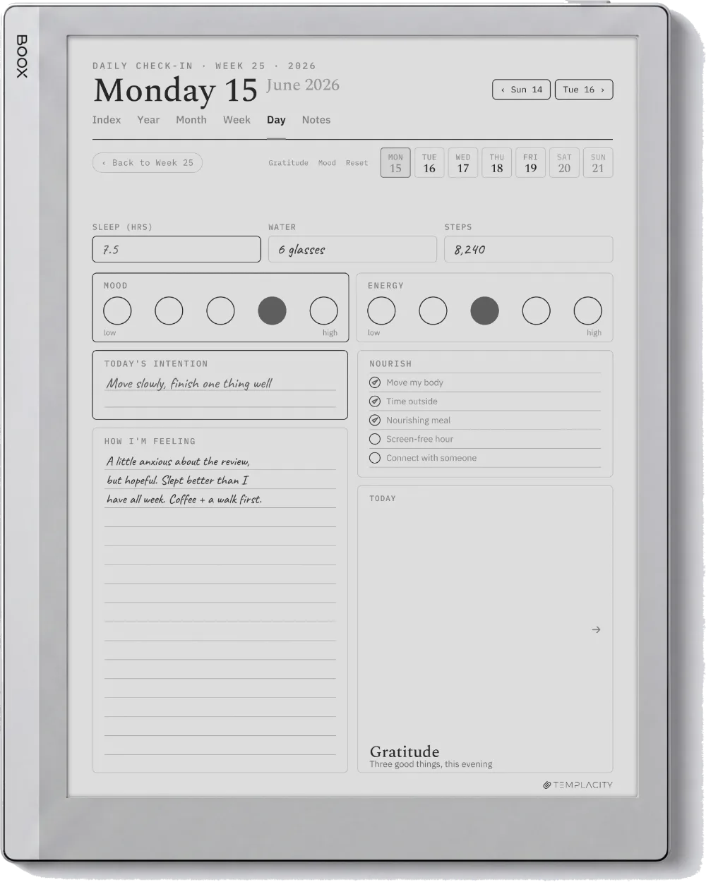 The Planner on the Boox Go 10.3