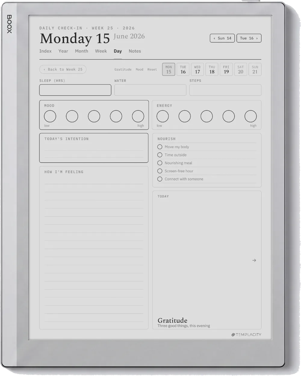The Planner · Wellness Boox Go 10.3 page 1