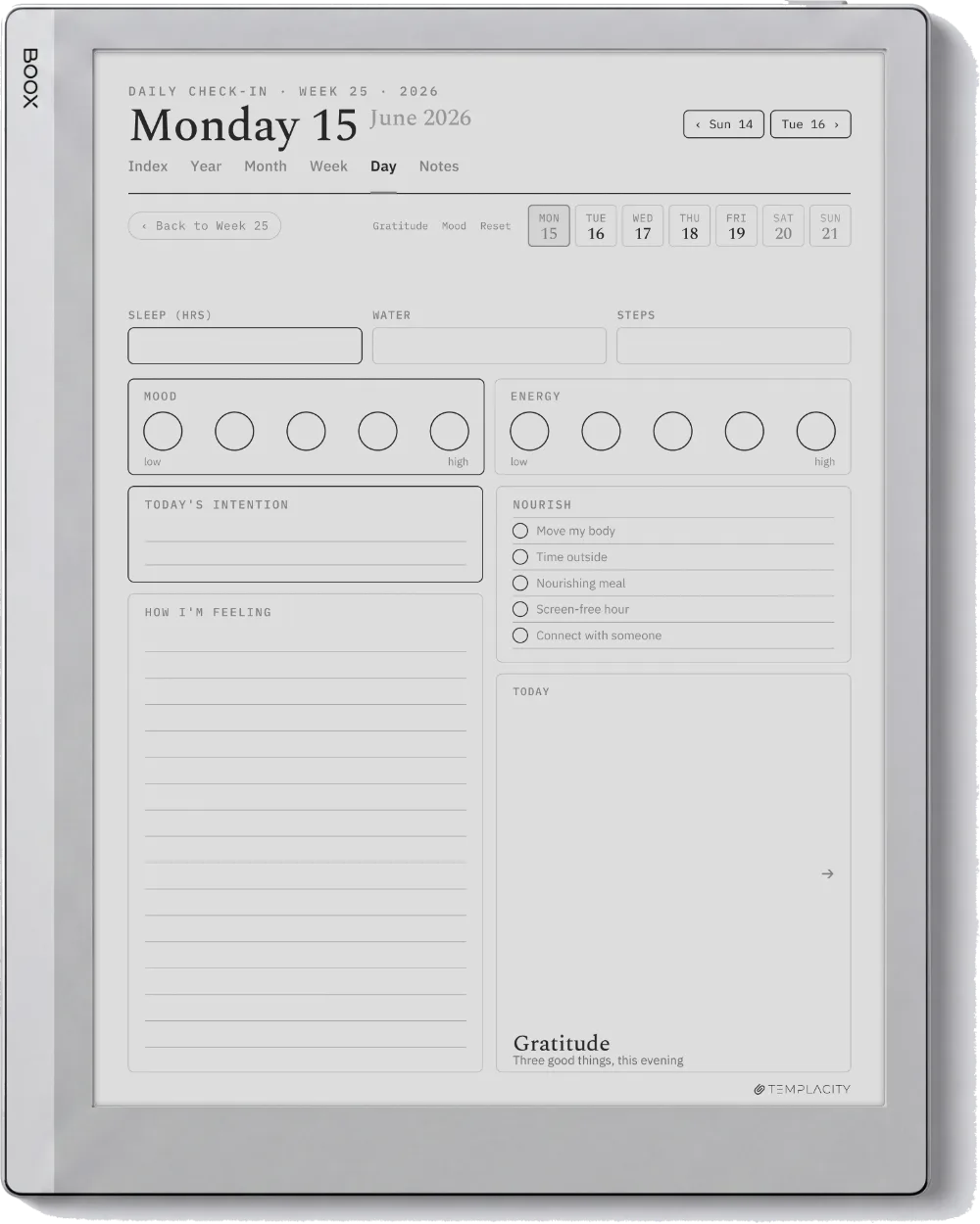 The Planner The Daily Check-in