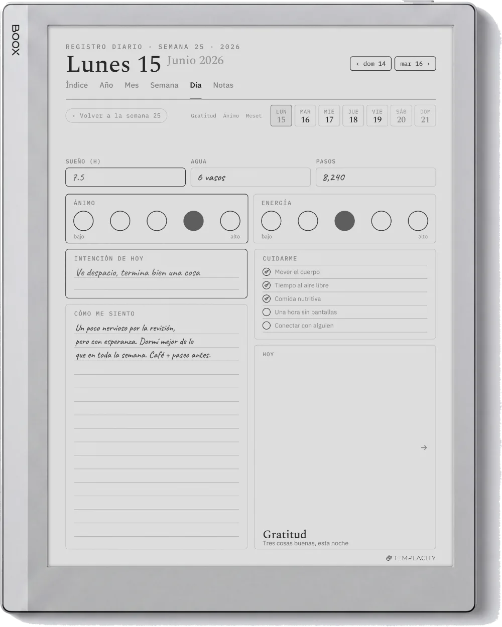 The Planner en el Boox Go 10.3