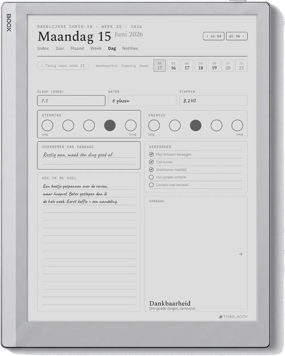 The Planner op de Boox Go 10.3