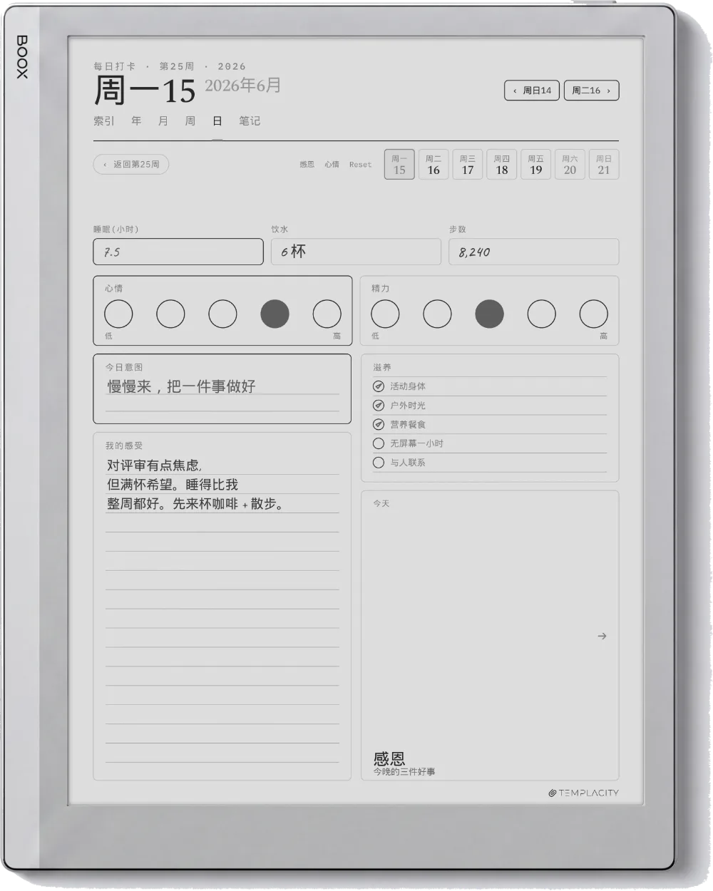 Boox Go 10.3 上的规划本