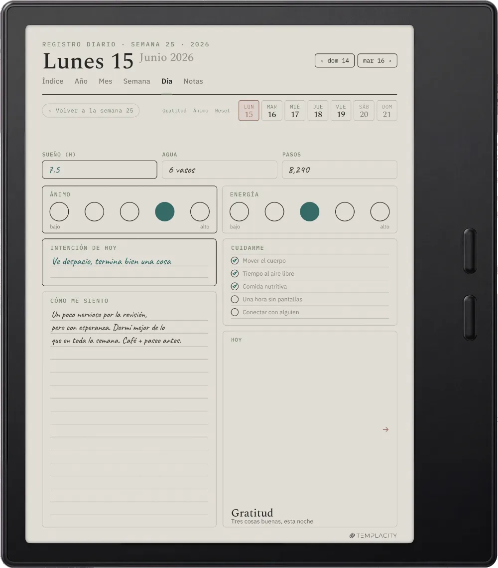 The Planner en el Boox Go Color 7 (Gen II)
