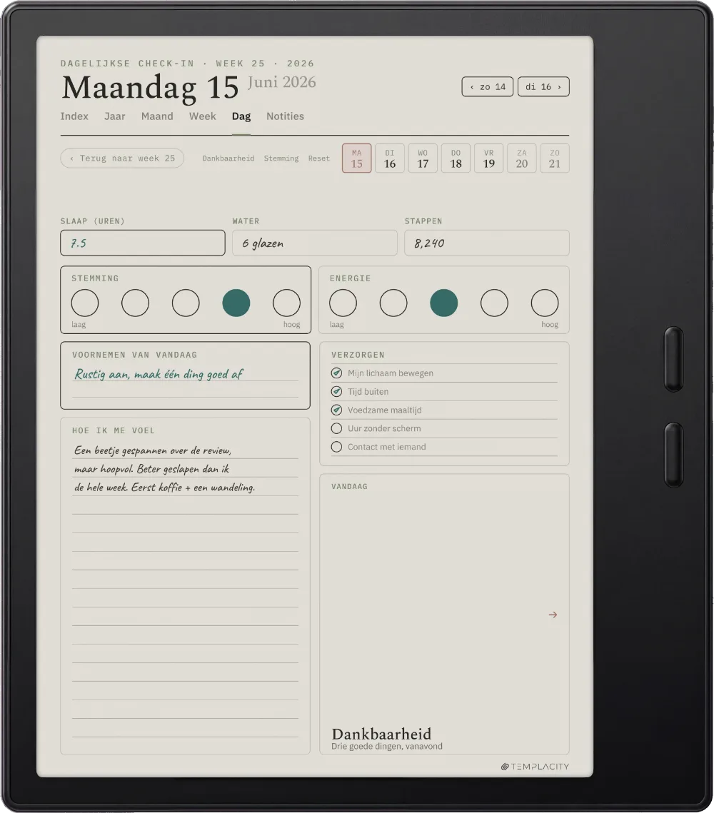 The Planner op de Boox Go Color 7 (Gen II)