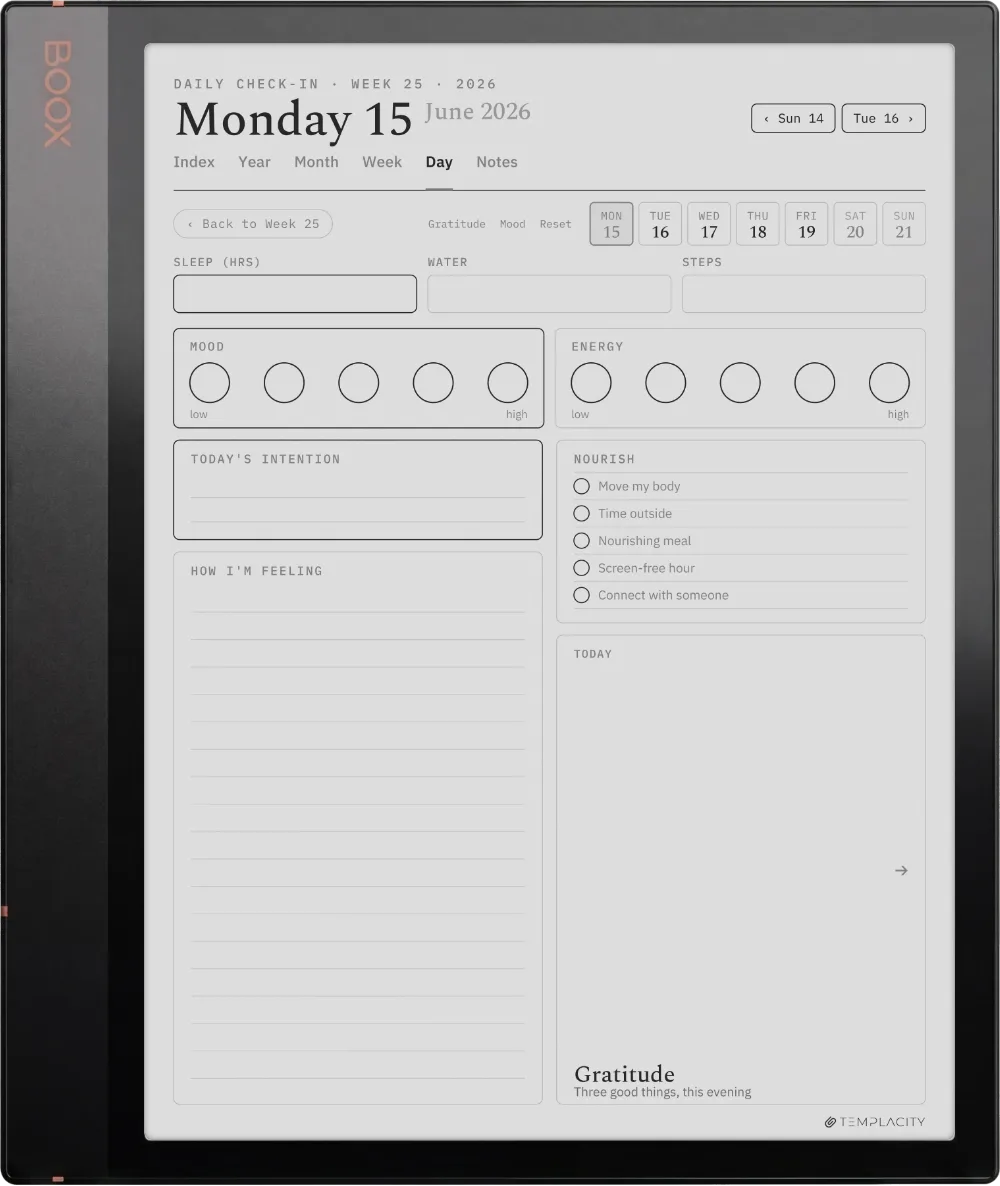 The Planner The Daily Check-in
