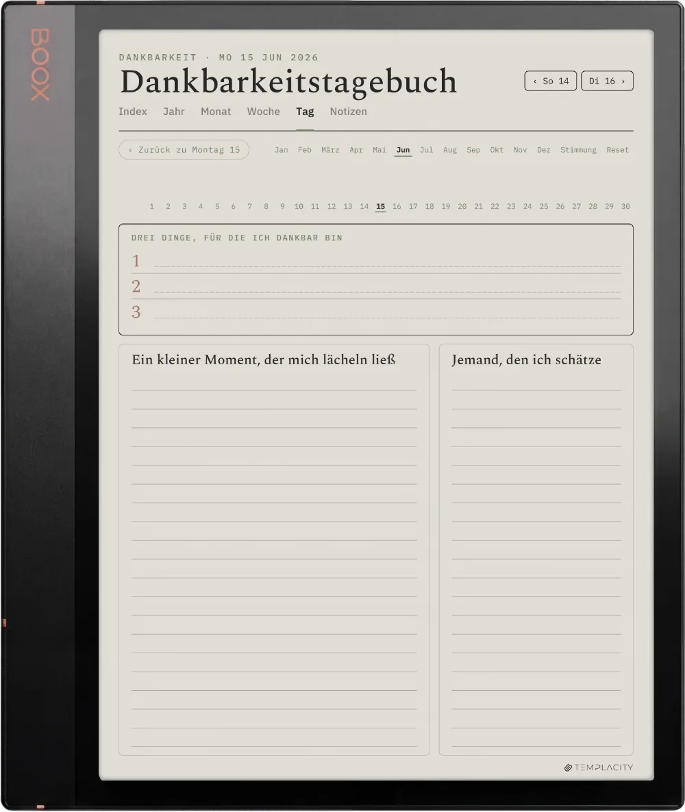 The Planner · Wellness Boox Note Air3 C Seite 4
