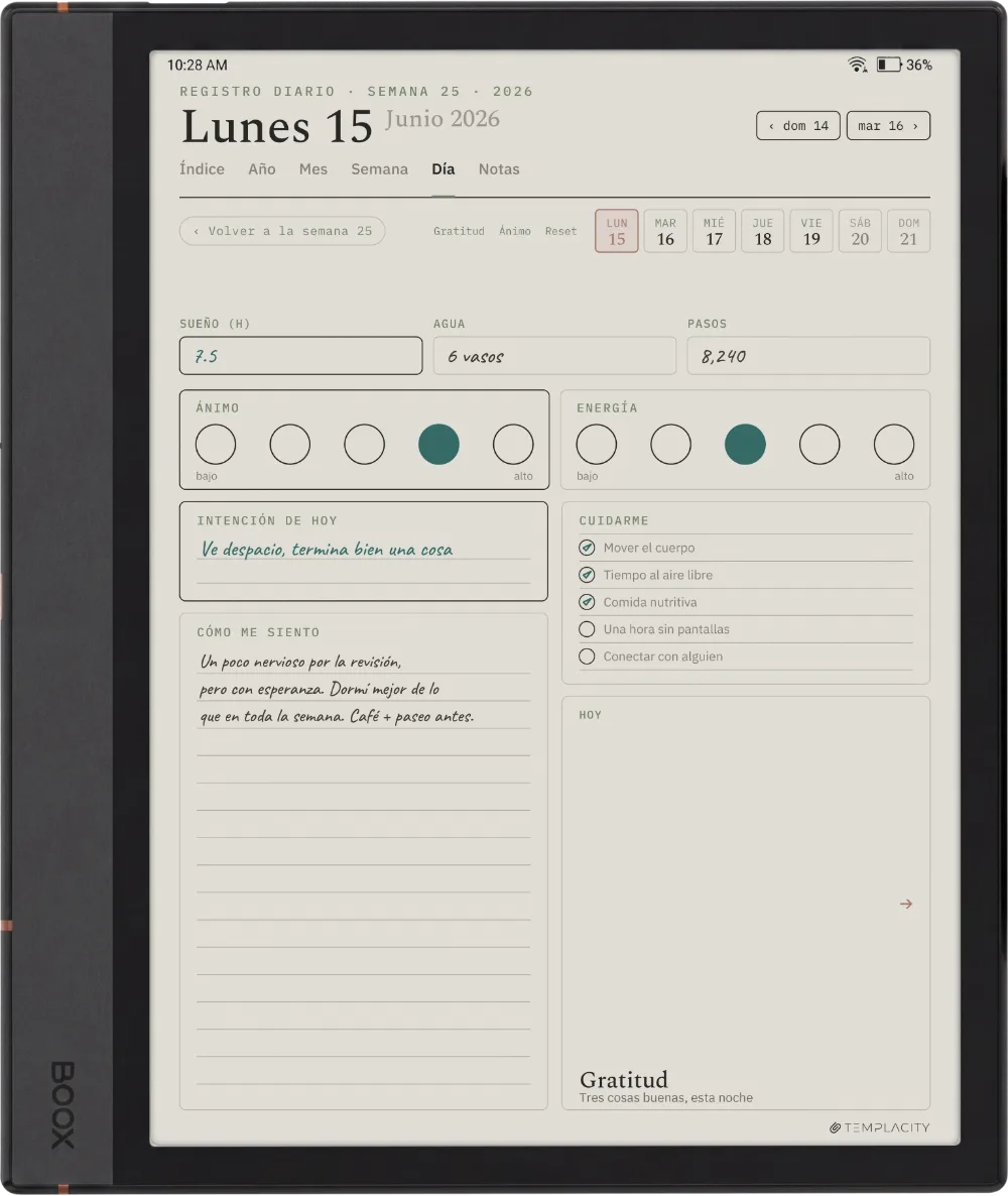 The Planner en el Boox Note Air4 C