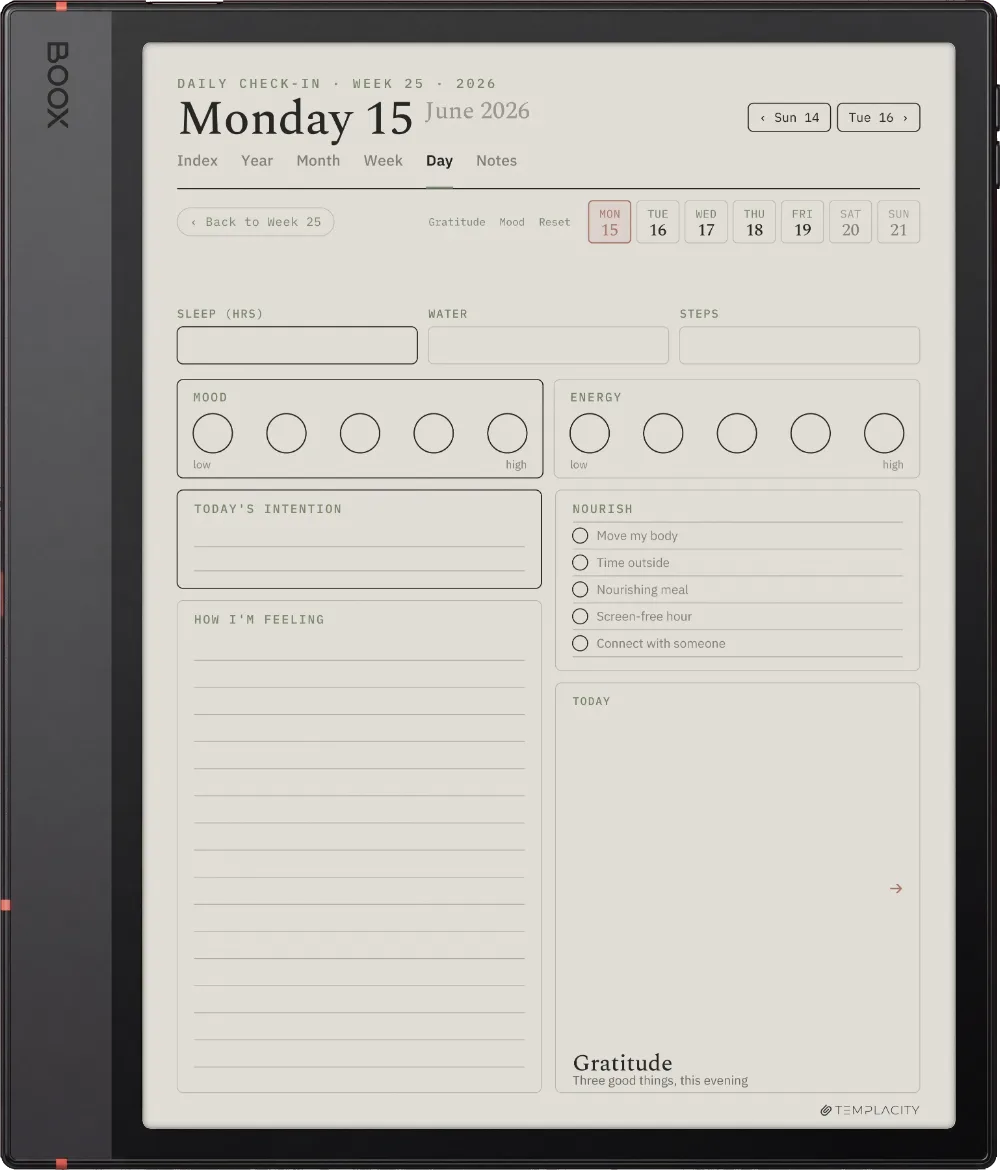 The Planner The Daily Check-in