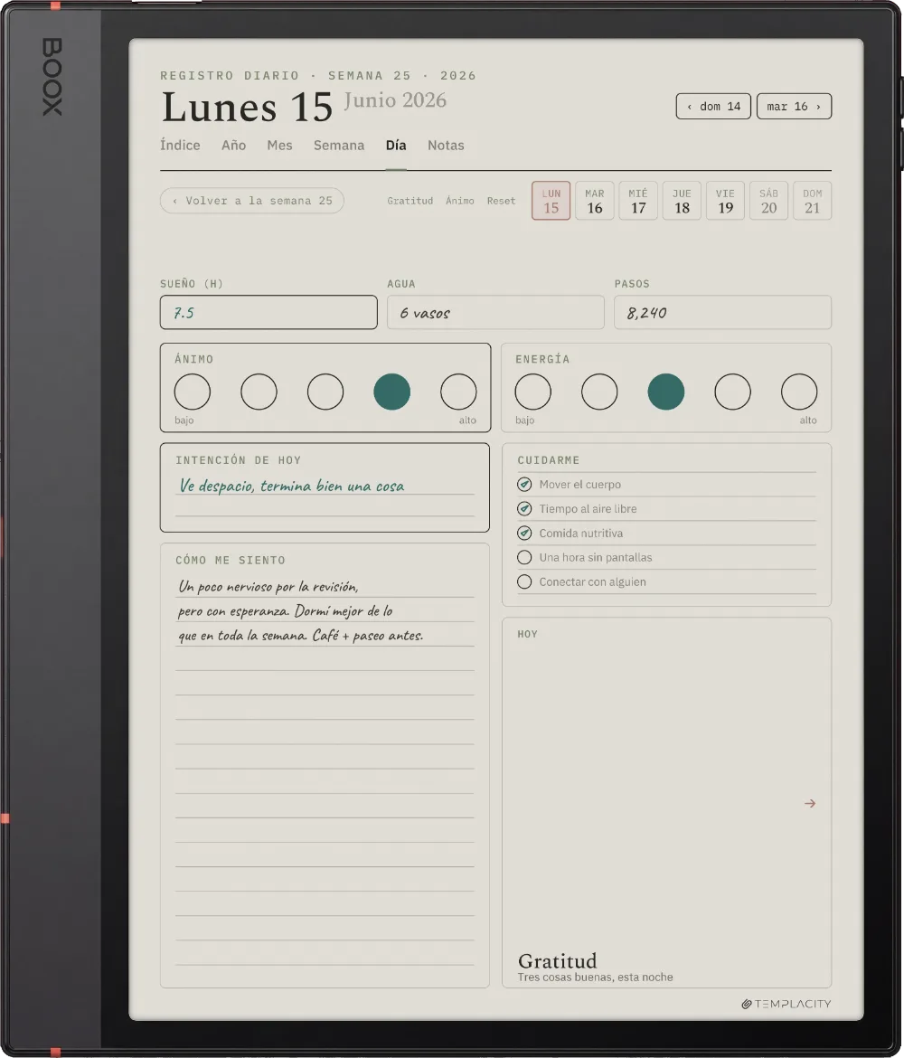 The Planner en el Boox Note Air5 C