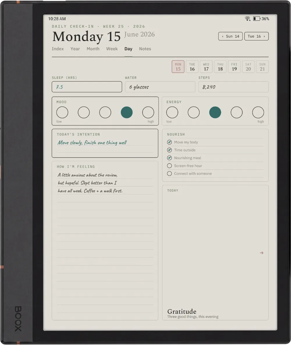 The Planner on the Boox Note Max