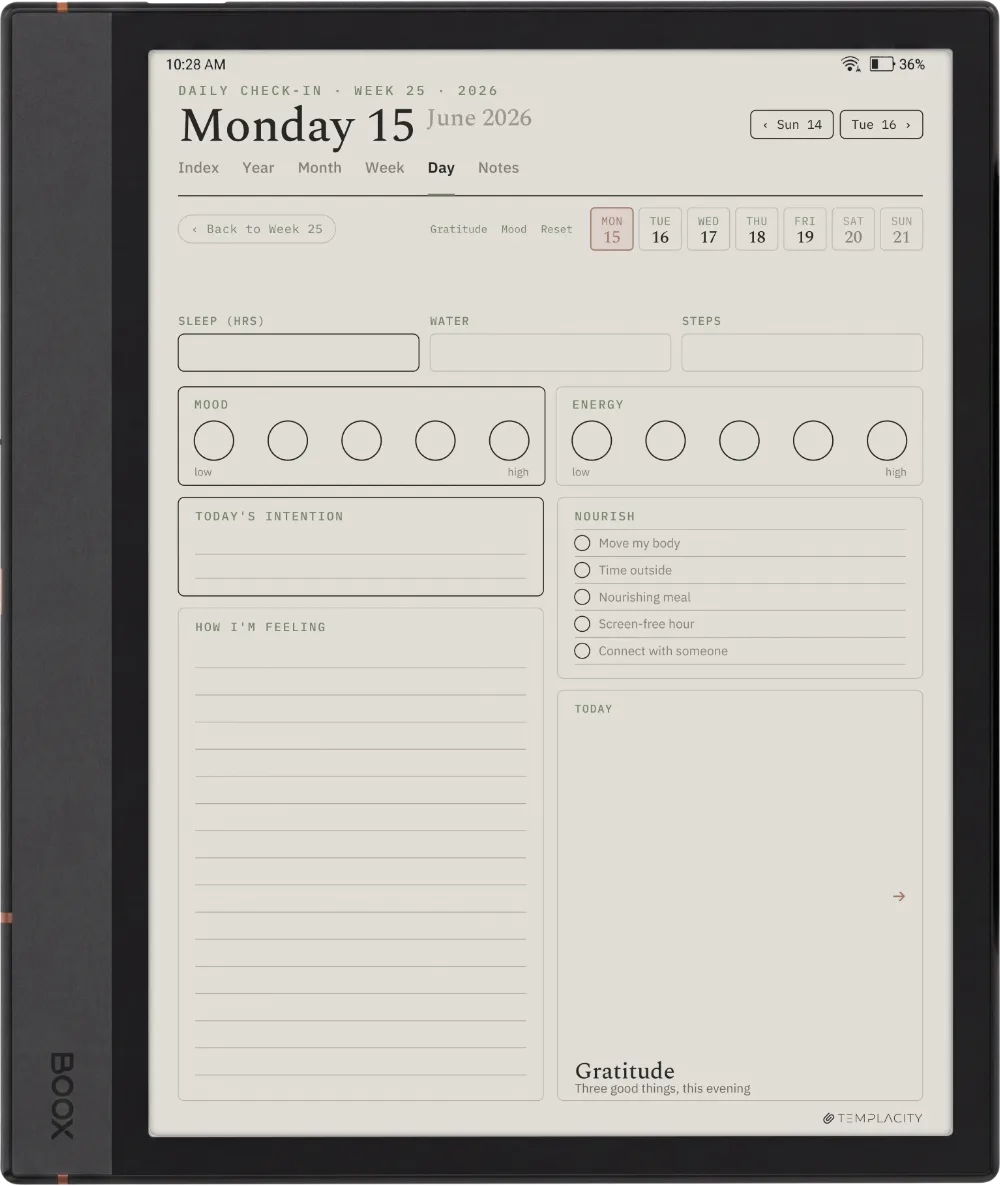 The Planner The Daily Check-in