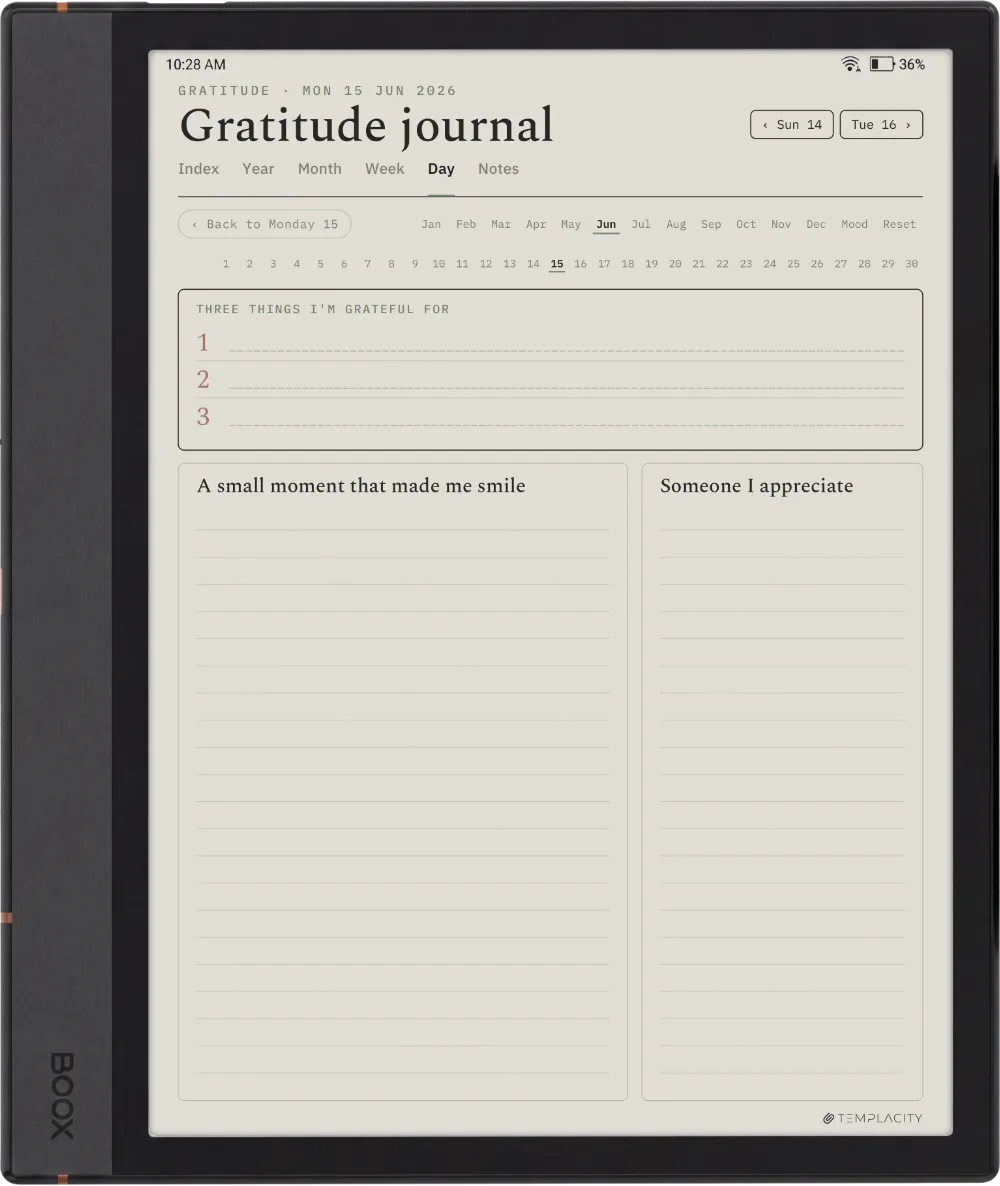 The Planner · Wellness Boox Note Max page 4