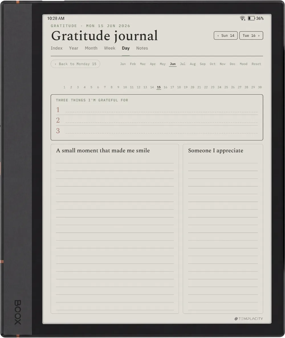 The Planner · Wellness Boox Note Max page 4