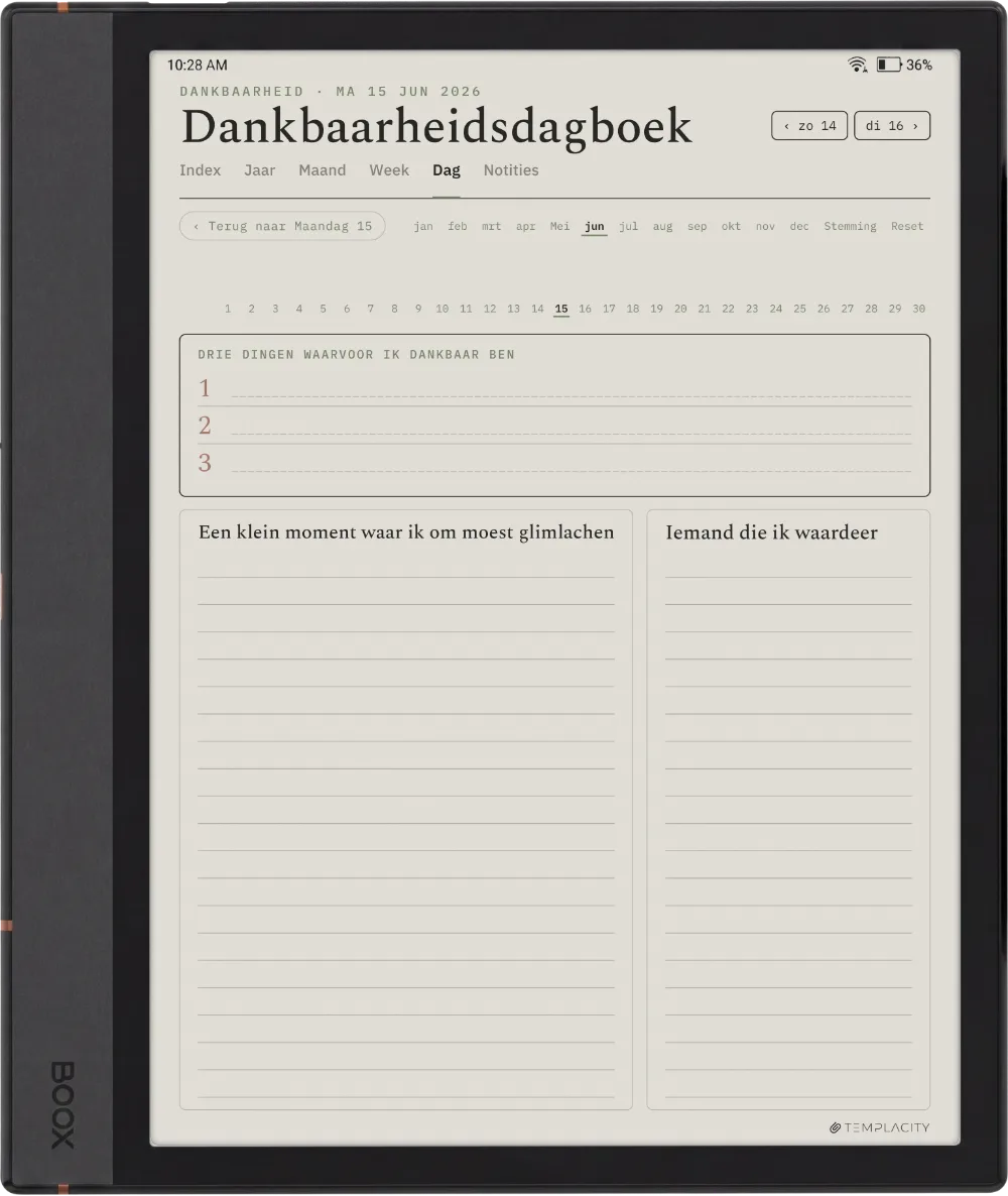 The Planner · Wellness Boox Note Max pagina 4