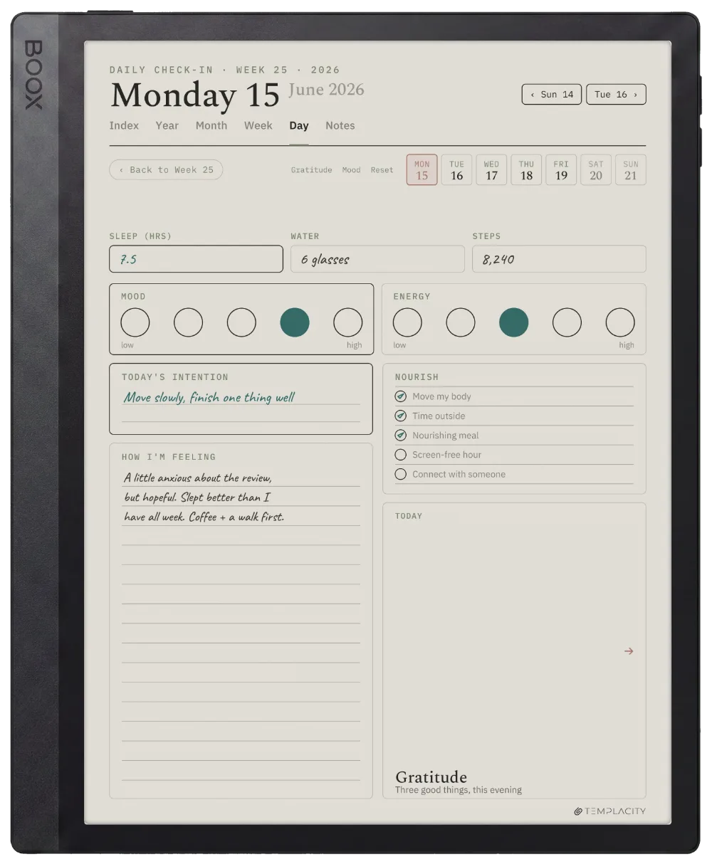 The Planner on the Boox Tab Ultra C Pro