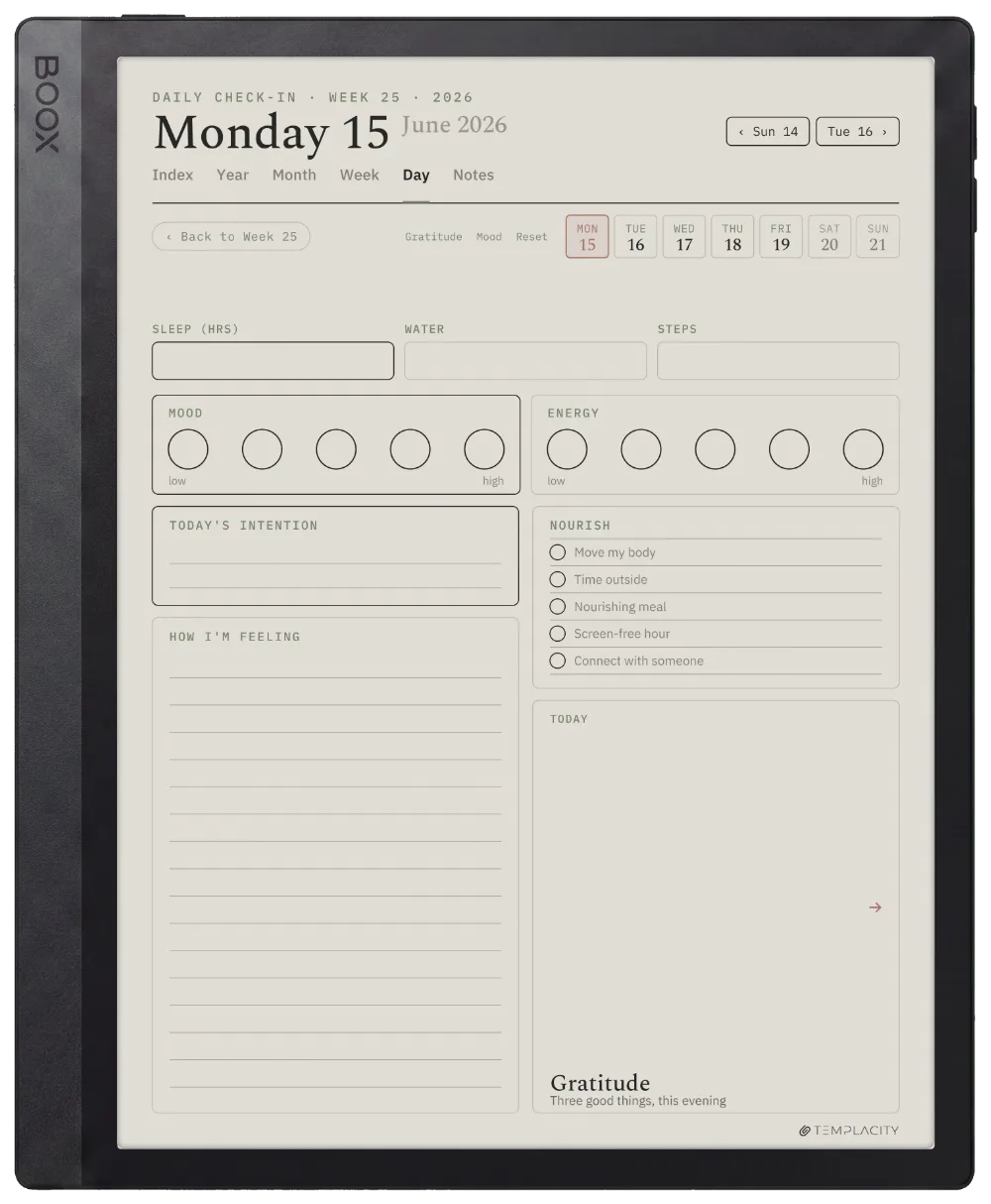 The Planner The Daily Check-in