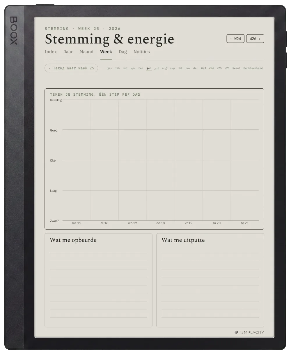 The Planner · Wellness Boox Tab Ultra C Pro pagina 2