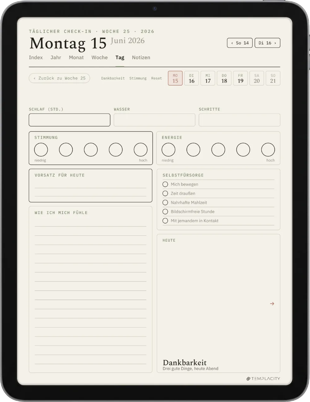 Der Planer: Der tägliche Check-in