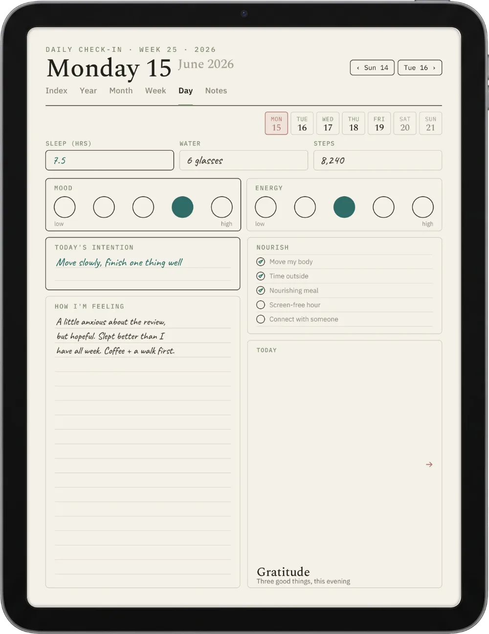 The Planner on the iPad