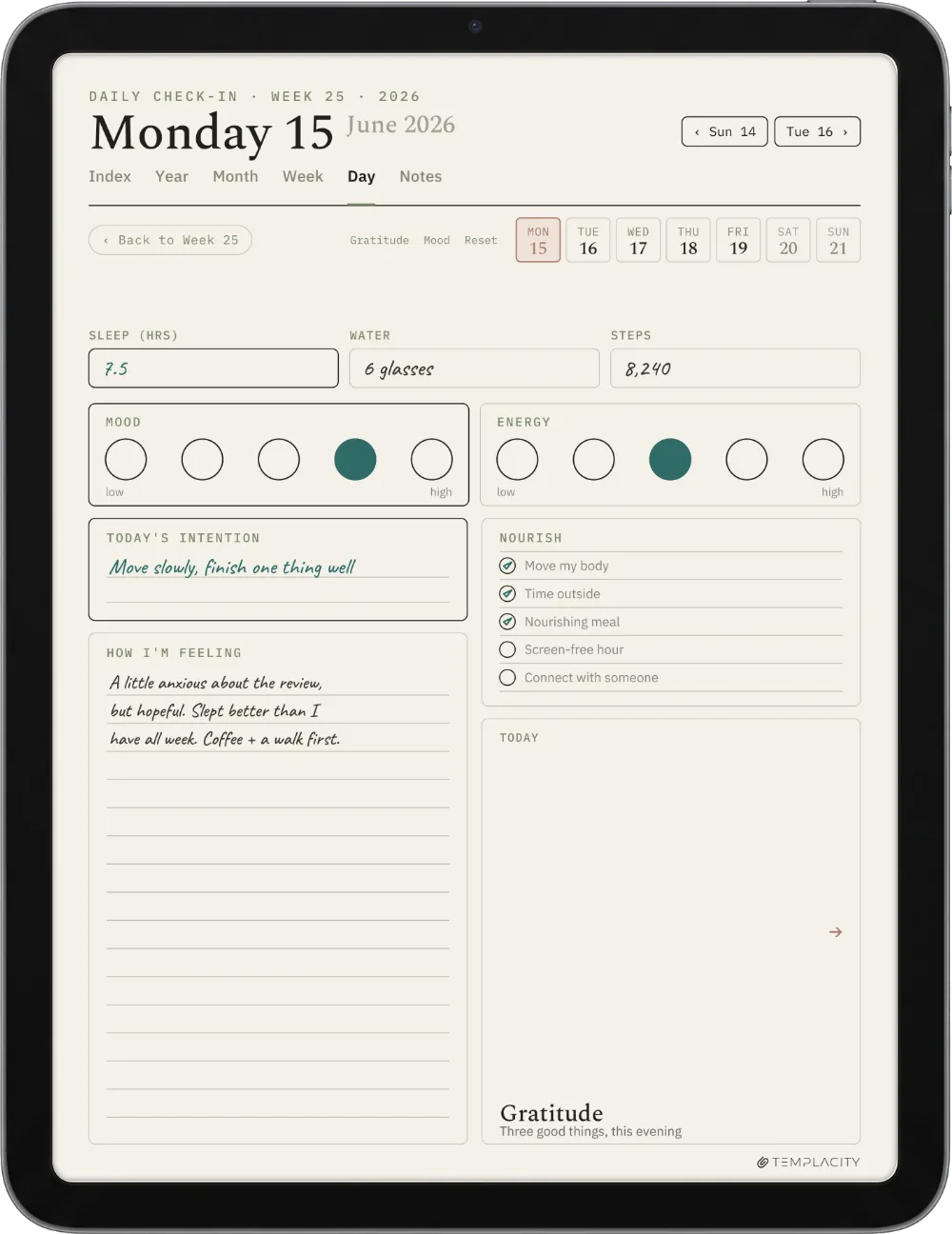The Planner on the iPad