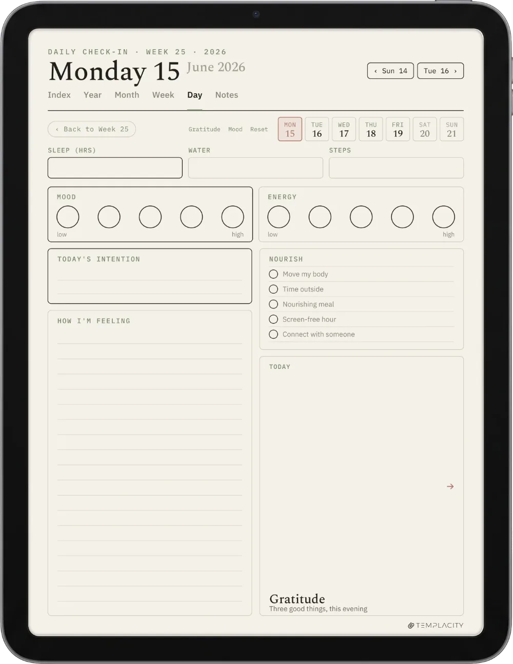 The Planner · Wellness iPad page 1