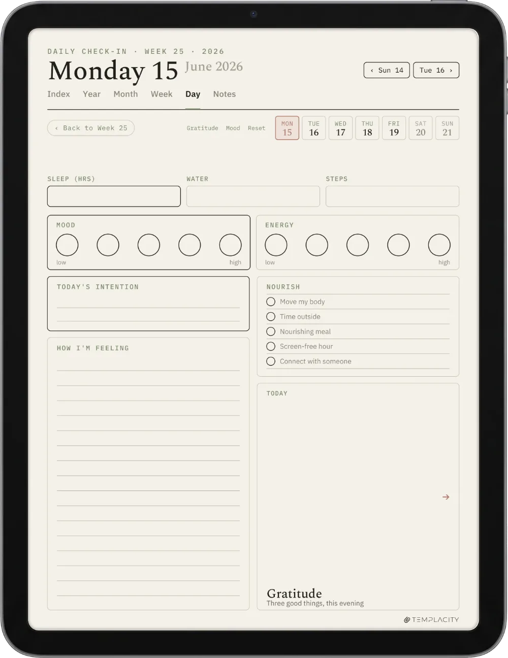 The Planner The Daily Check-in