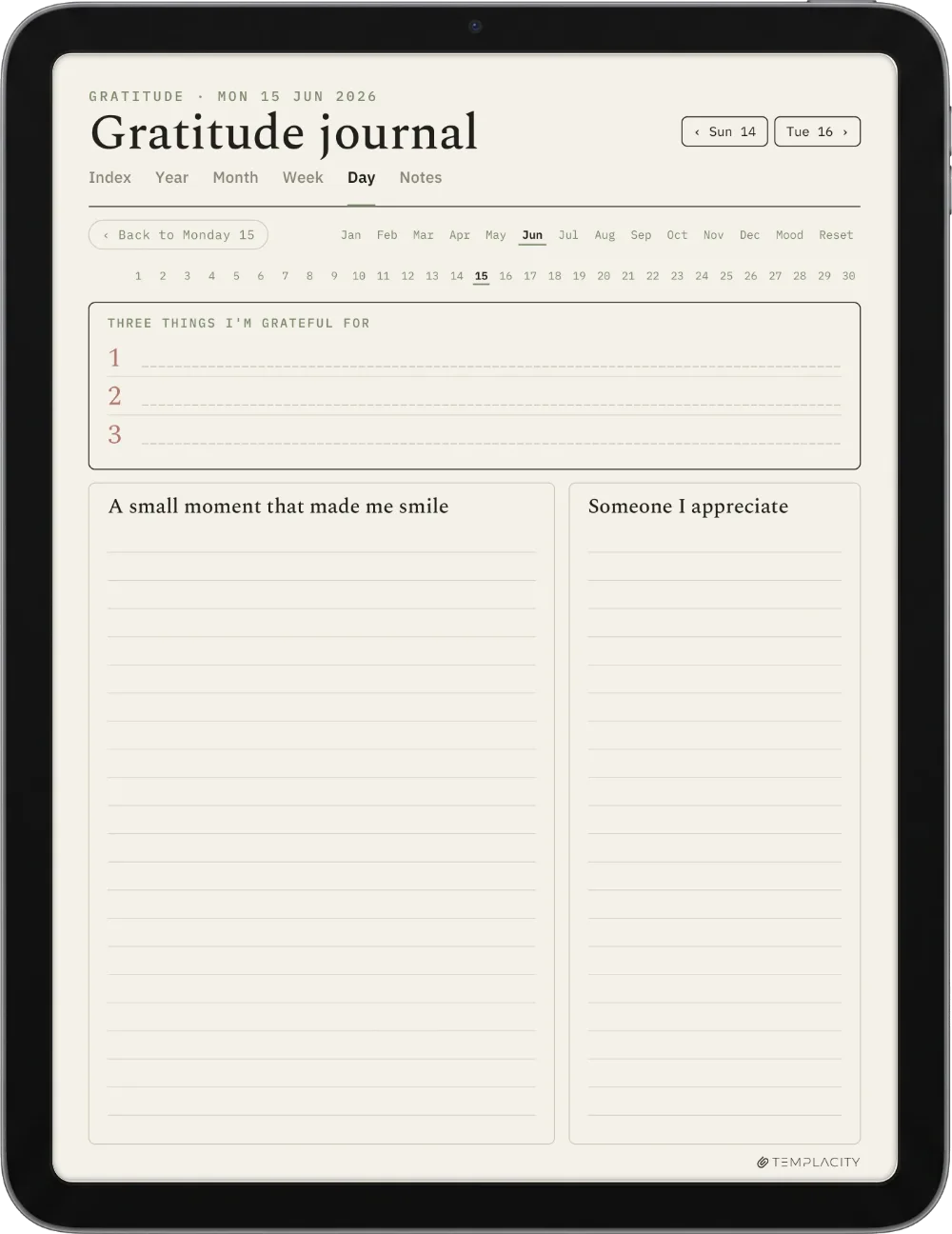 The Planner · Wellness iPad page 4