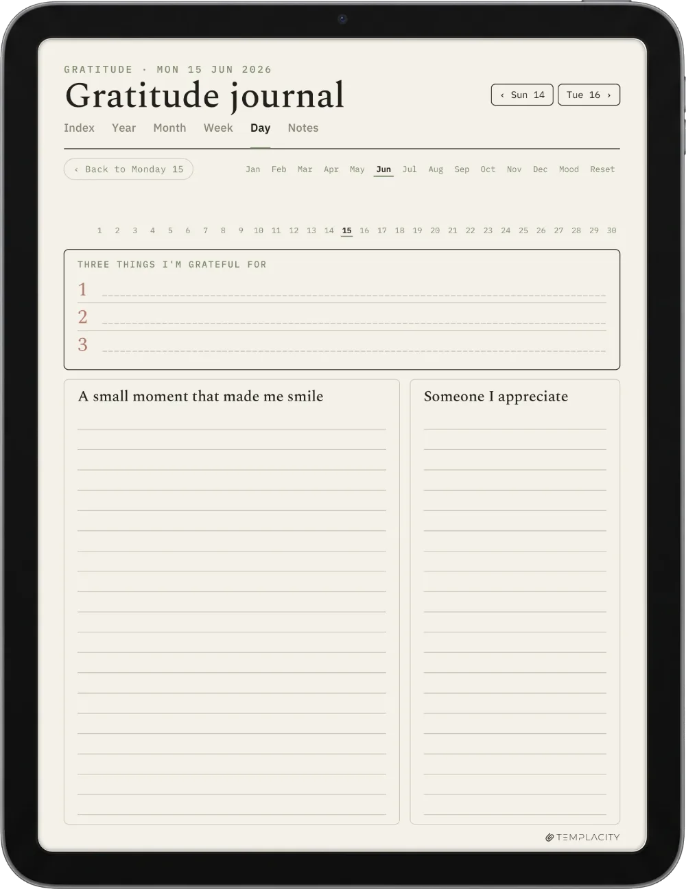 The Planner · Wellness iPad page 4
