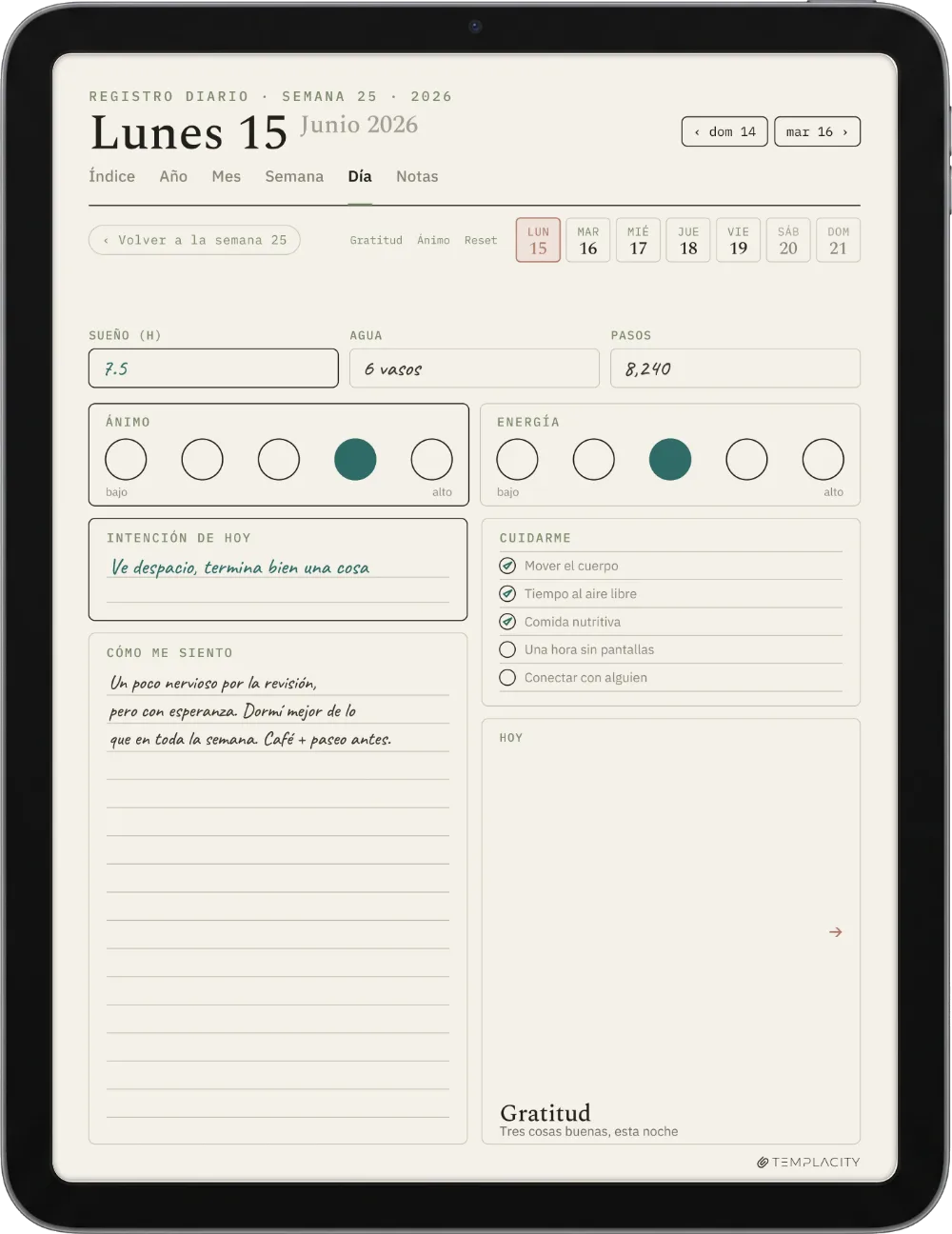 The Planner en el iPad