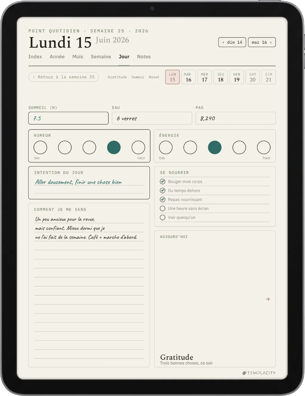 Le Planner sur iPad