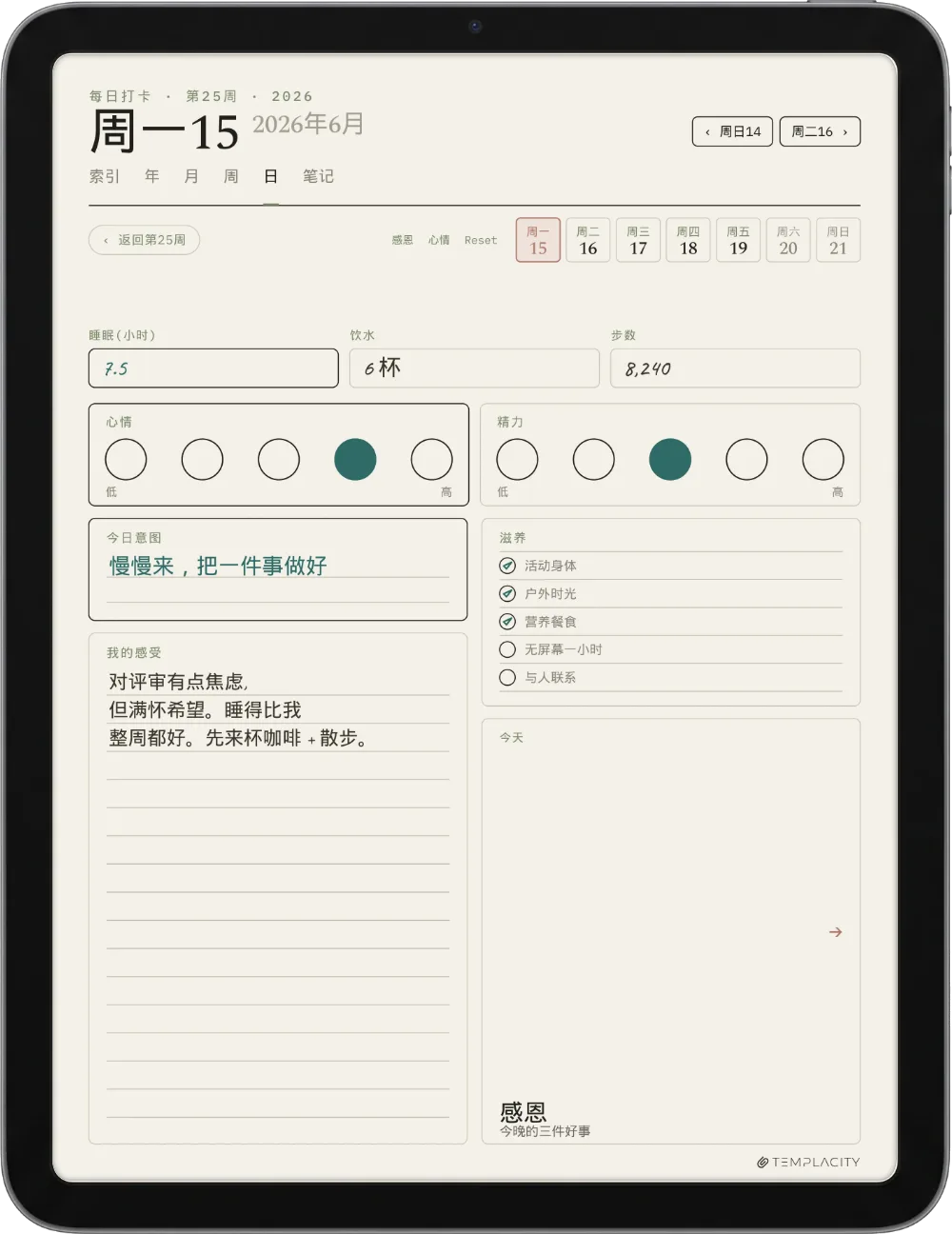 iPad 上的规划本