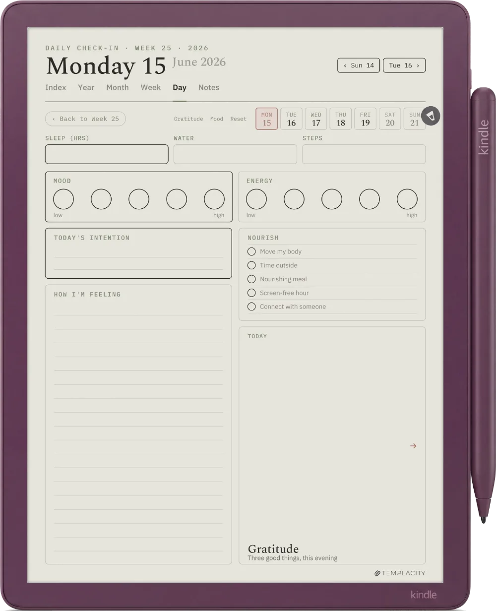 The Planner The Daily Check-in