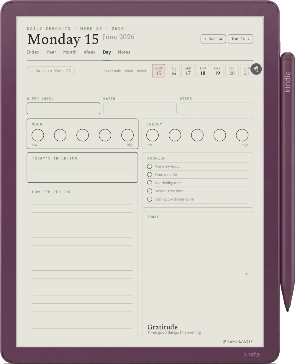 The Planner The Daily Check-in