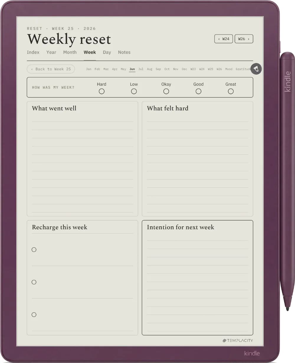 The Planner · Wellness Kindle Scribe Colorsoft page 3